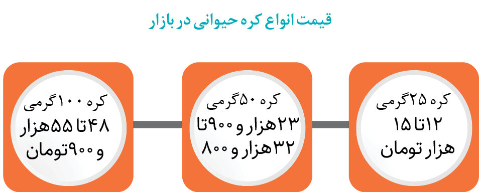 چرا بازار کره به هم ریخت؟ | قیمت انواع کره حیوانی در بازار را ببینید