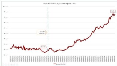 چشم انداز اقتصاد ایران با سیاست ارزی دولت چهاردهم چیست؟