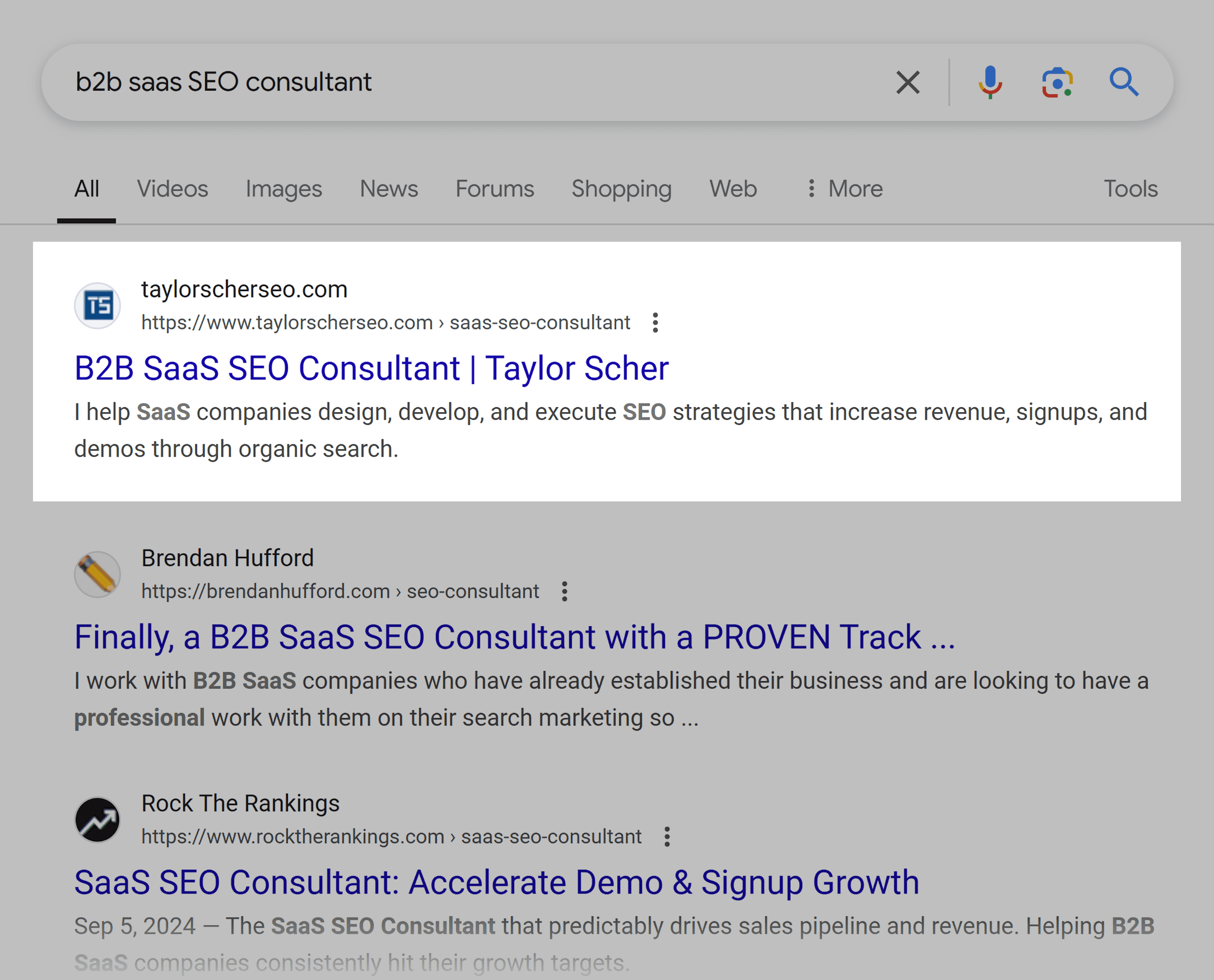 Google SERP – B2B SaaS SEO Consultant