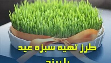 کاشت سبزه متفاوت و جذاب / مراحل کاشت سبزه عید با برنج