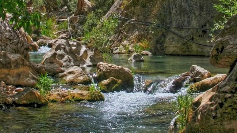 راهنمای کامل شیراز/ ۲۰ جاذبه گردشگری که حتماً باید بازدید کنید