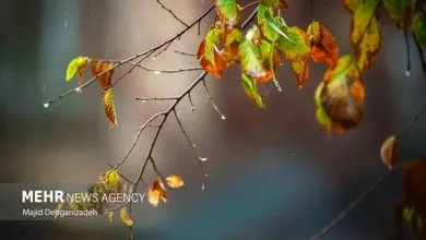 هواشناسی ایران امروز ۵ شهریور؛ بارش پراکنده و وزش باد در برخی نقاط